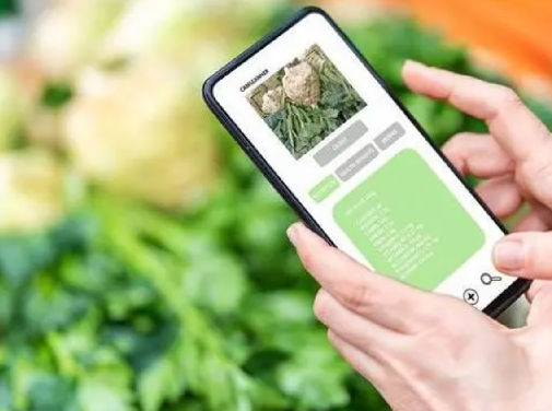 防偽標(biāo)簽定制服務(wù)，讓您的品牌更出眾